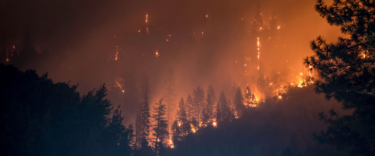 https://convenience.org/getmedia/5282d944-42c2-46bd-a8ab-d2b1ff30b93d/matt-howard-eAKDzK4lo4o-unsplash_770x320_wildfire.jpg